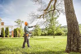 Best Lawn Pest Prevention  in Pennington Gap, VA